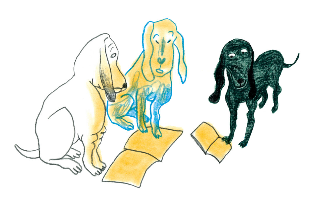 EN FLUO – Exposition de Kitty Crowther