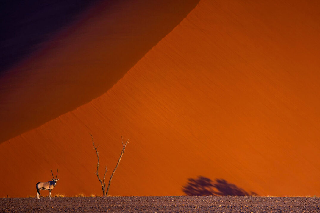 Exploration du monde – Saison 2025-2026