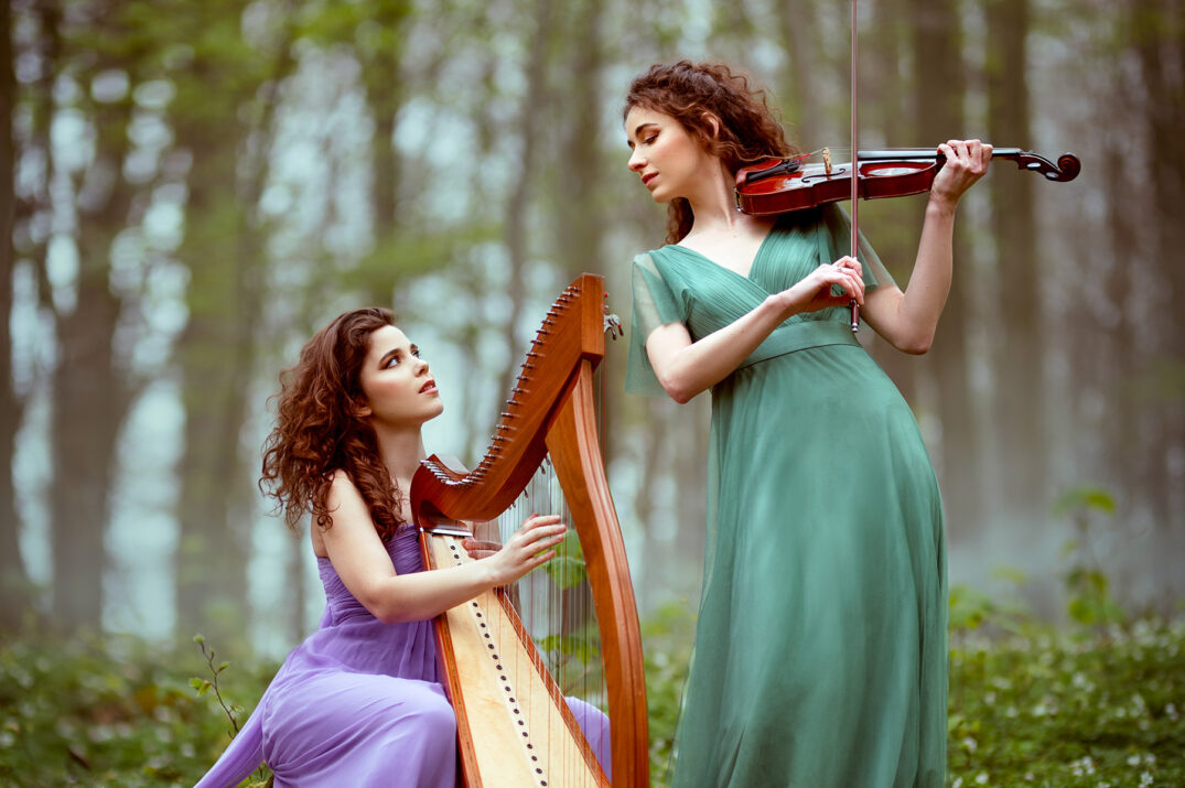 Dans la forêt enchantée