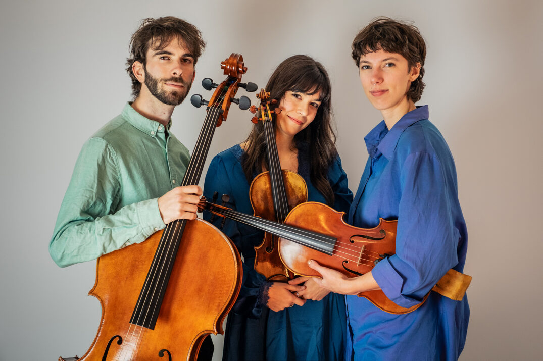 Ensemble Satellite