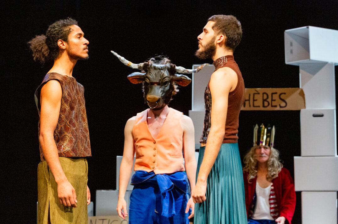 Looking for Antigone