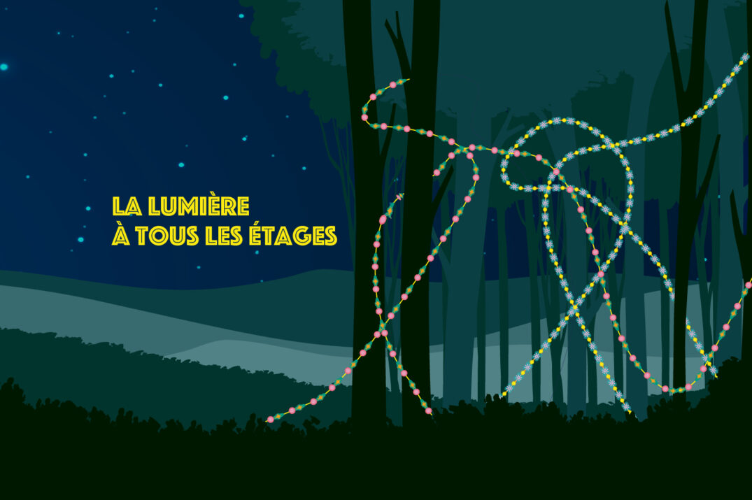 La lumière à tous les étages